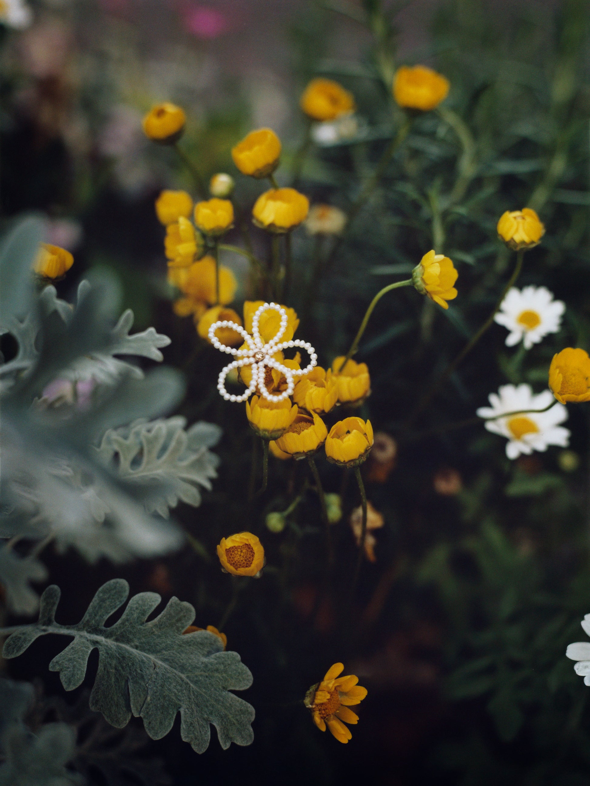 Sakura White Earrings