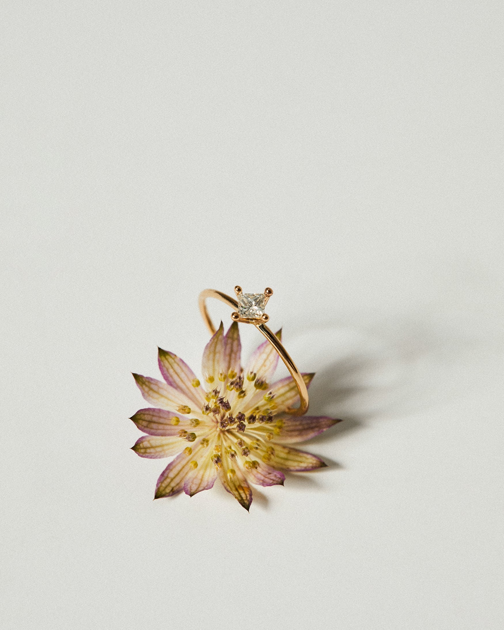 Mary Ring
